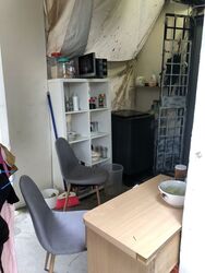 Tiong Bahru Orchid (D3), Shop House #519335481